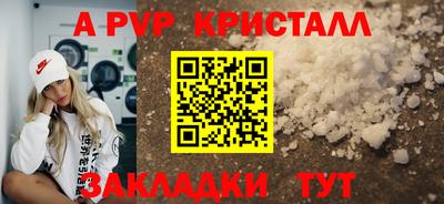 гидра Нальчик