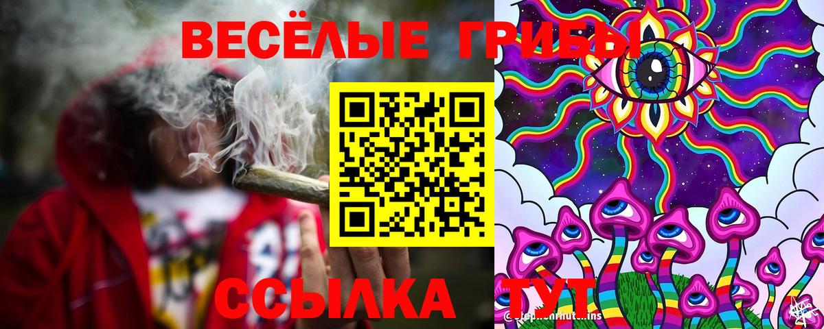 Галлюциногенные грибы GOLDEN TEACHER Энгельс